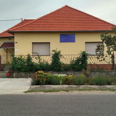 Abigel Apartman Mórahalom Exterior foto